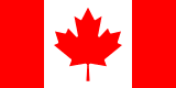 Toronto flag